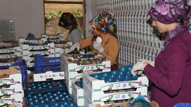 Bursa'dan Berlin’e satış