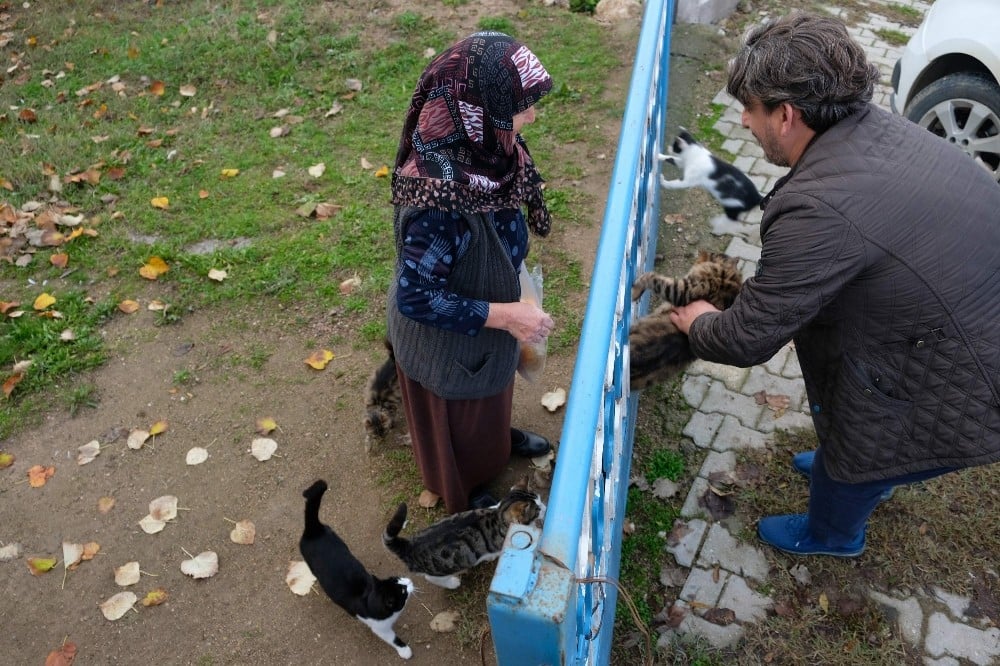 Bursalı fırıncı aç kalan köpek ve kedilere böyle sahip çıktı 