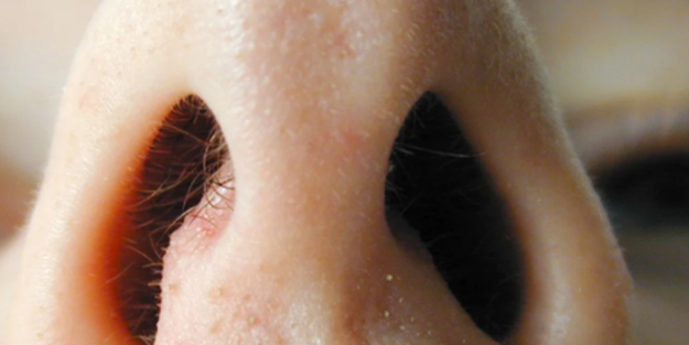 Burun kıllarına sakın dokunmayın! Keserseniz bakın ne oluyor