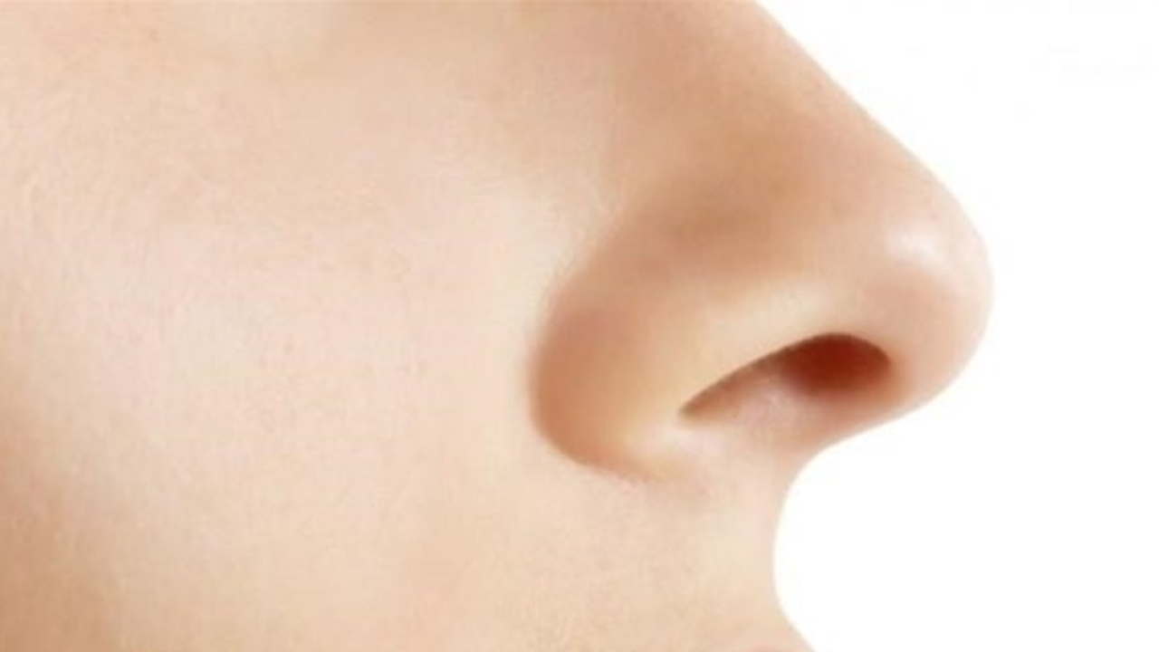 Burunlarını kullanarak saatte 1000 TL kazanıyorlar!