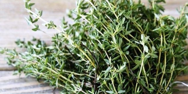 Buyrun zahterli ekmeğe