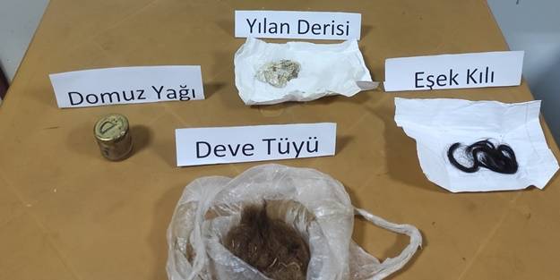 Büyü yapmak için kedileri telef ettiği suçlamasıyla 1 kişi yakalandı