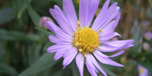 Büyük gizem: İnternette her gün 90 milyon kez tıklanıyor!