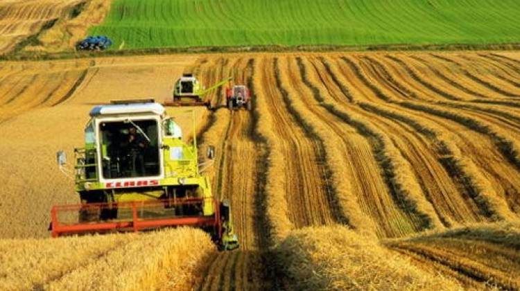 Büyük yükseliş! 188 milyar lirayı aştı