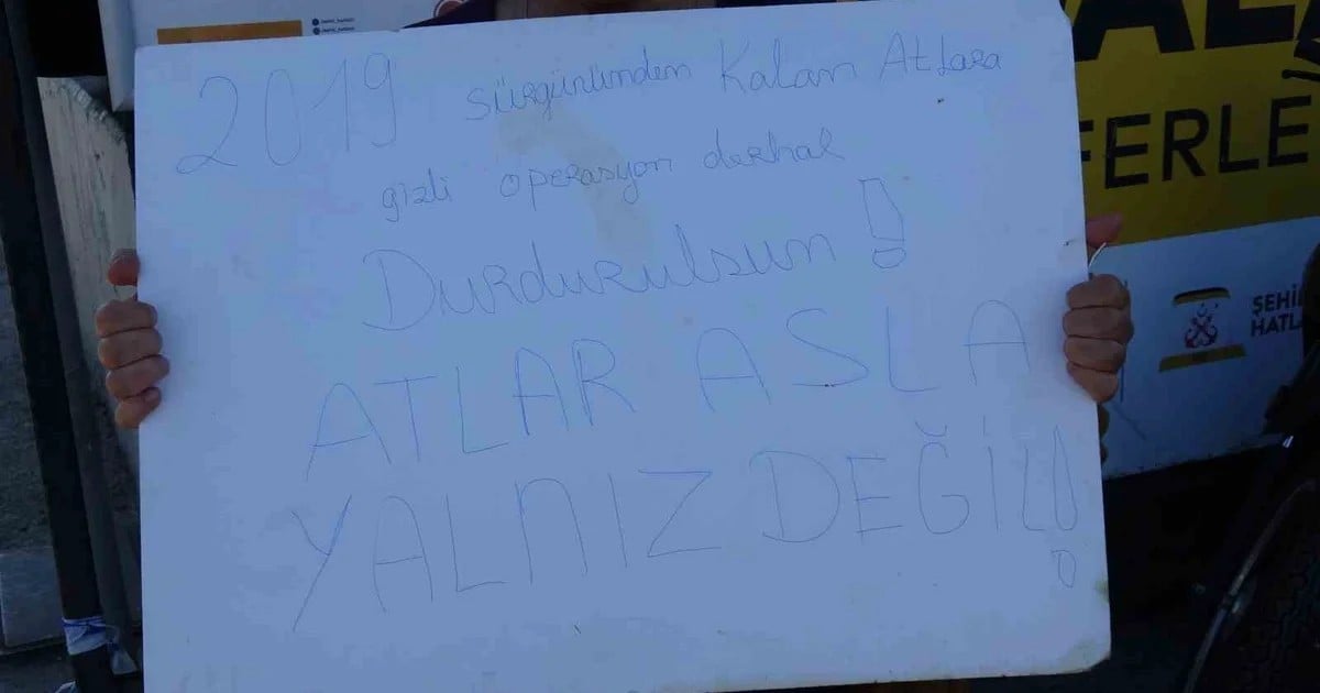 Büyükada'da kalan son 16 atın açıklama yapılmadan sevk edildiği öne sürüldü
