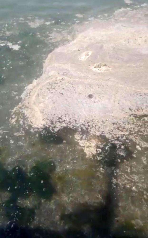 Büyükada'da korkutan görüntüler