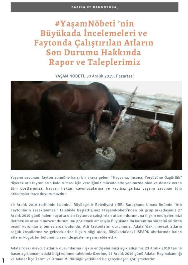 Büyükada’daki karantina ahırları görüntülendi 