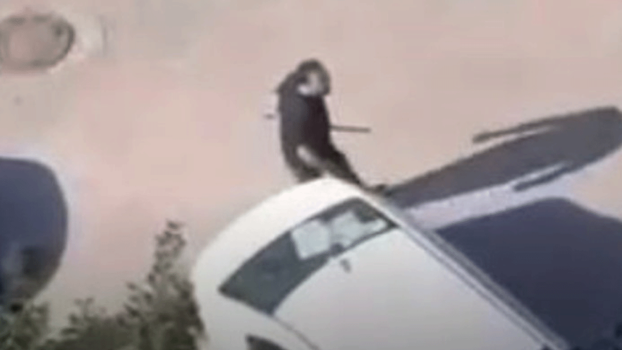 Büyükçekmece'de sopalı adam dehşeti! Gürültü yapıyorlar diye komşularına saldırdı!