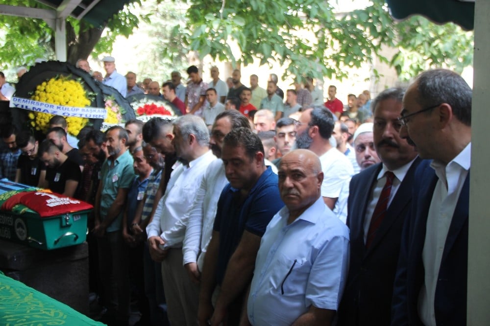 Büyüknalbant ailesinin acı günü 
