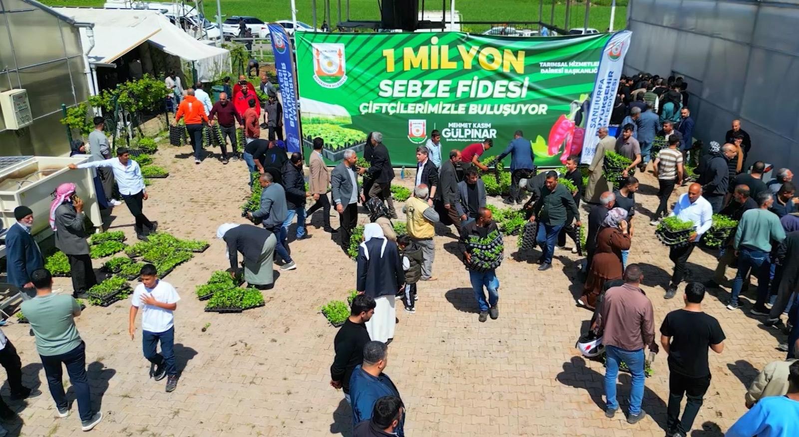 Büyükşehir 1 milyon fide dağıtarak üreticiyi destekledi