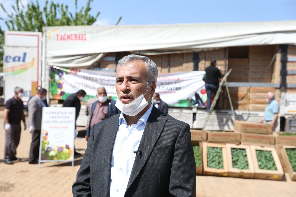Büyükşehir 5 milyon fide dağıtımını tamamladı 
