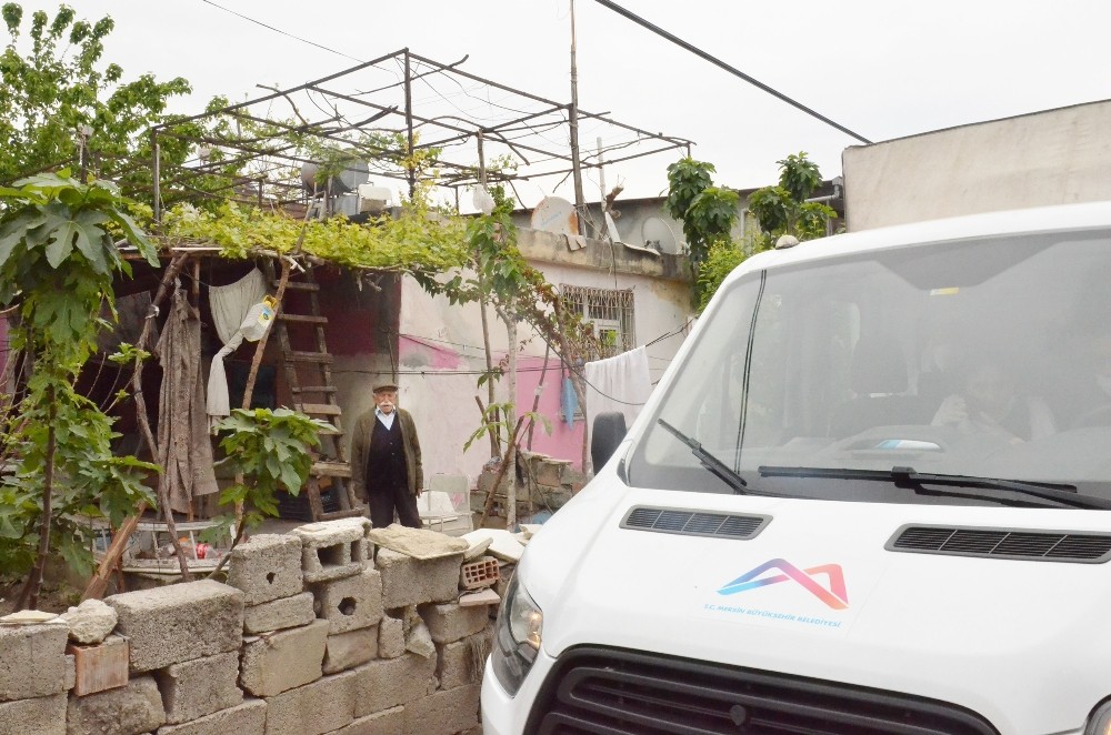 Büyükşehir Belediyesi, asırlık çınarı unutmadı 