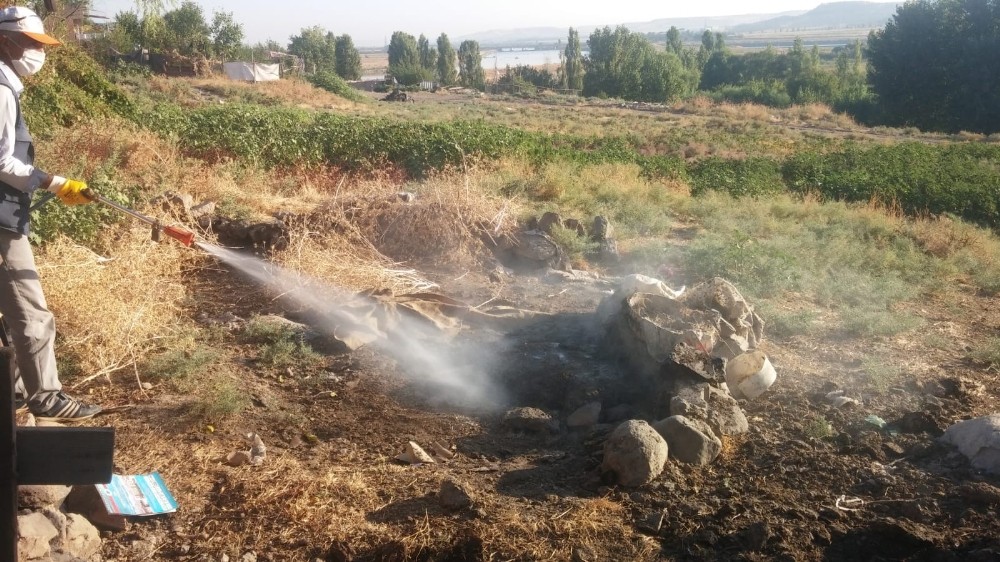 Büyükşehir belediyesi, ilaçlama çalışması başlattı 