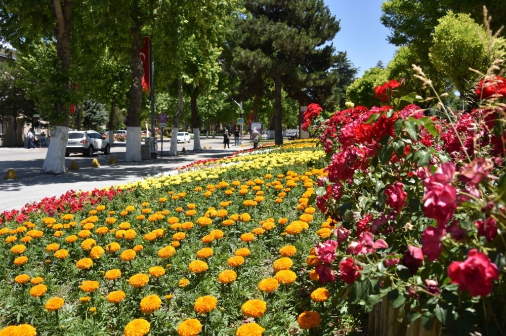 Büyükşehir Belediyesi’nden 150 bin çiçek 