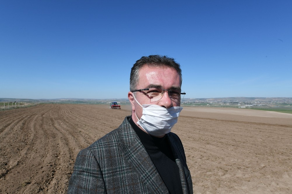 Büyükşehir Belediyesine ait tarım arazilerinde üretim başlıyor 