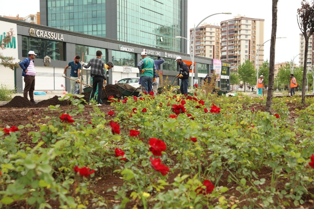 Büyükşehir çalışıyor, Diyarbakır yeşilleniyor 