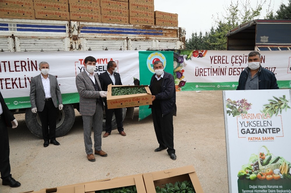 Büyükşehir çiftçiye yönelik dev desteğini sürdürüyor 