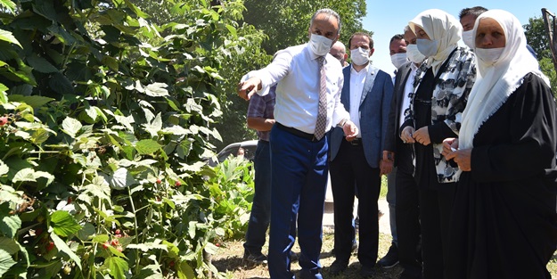 Büyükşehir destekliyor, çiftçi kazanıyor