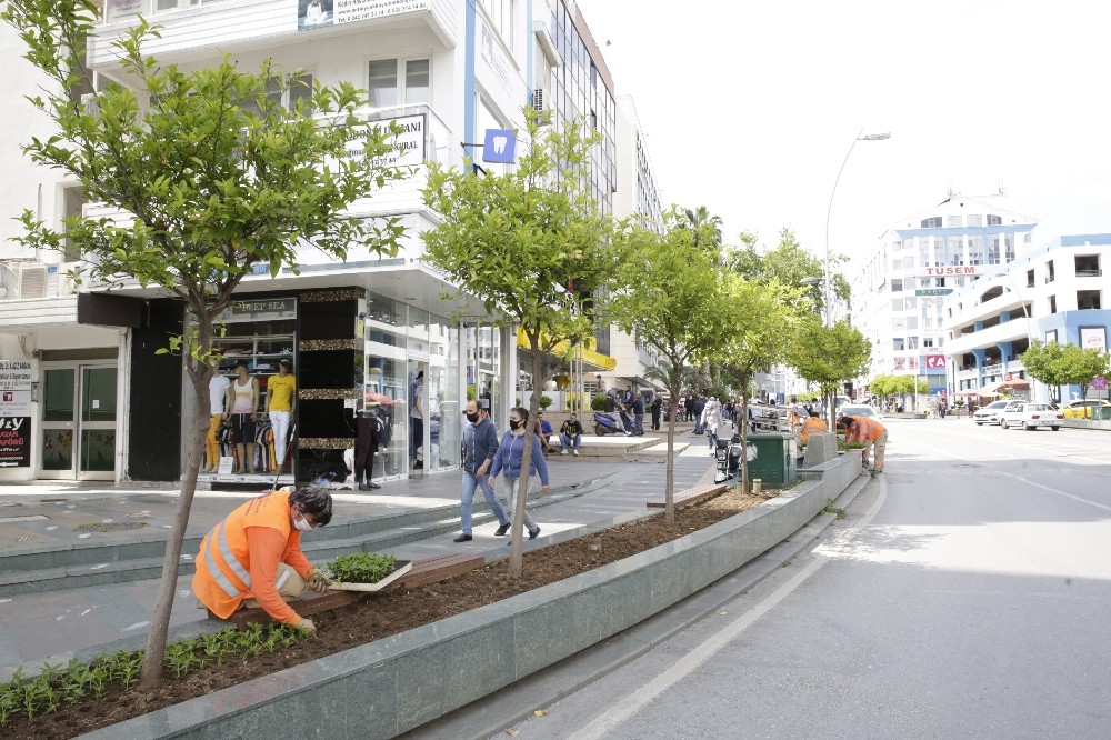 Büyükşehir Güllük Caddesi’ni 40 bin çiçekle süsleyecek 