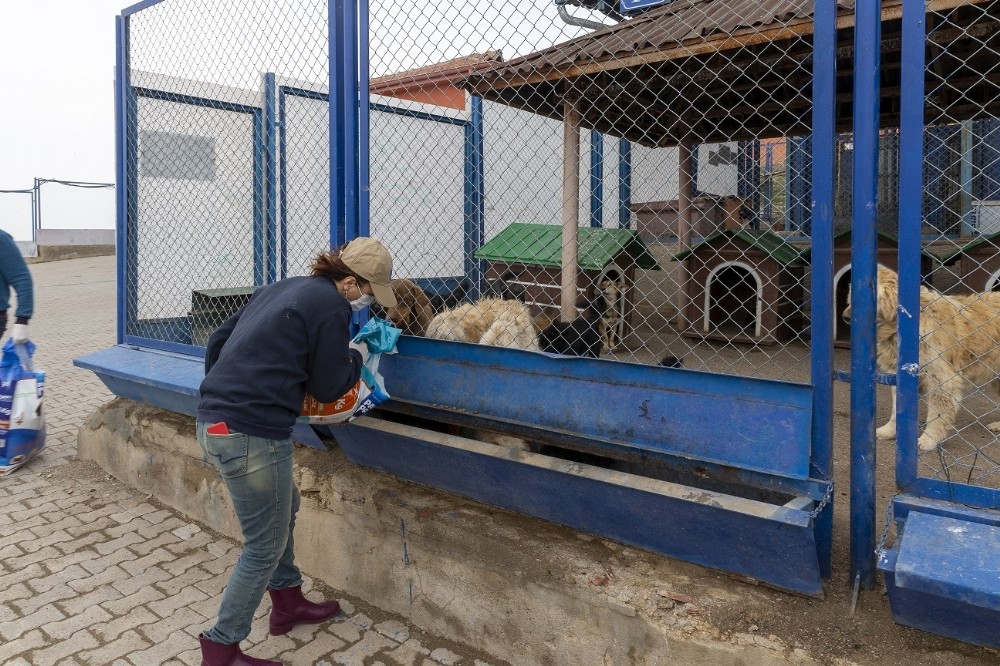 Büyükşehir her canlının yanında 