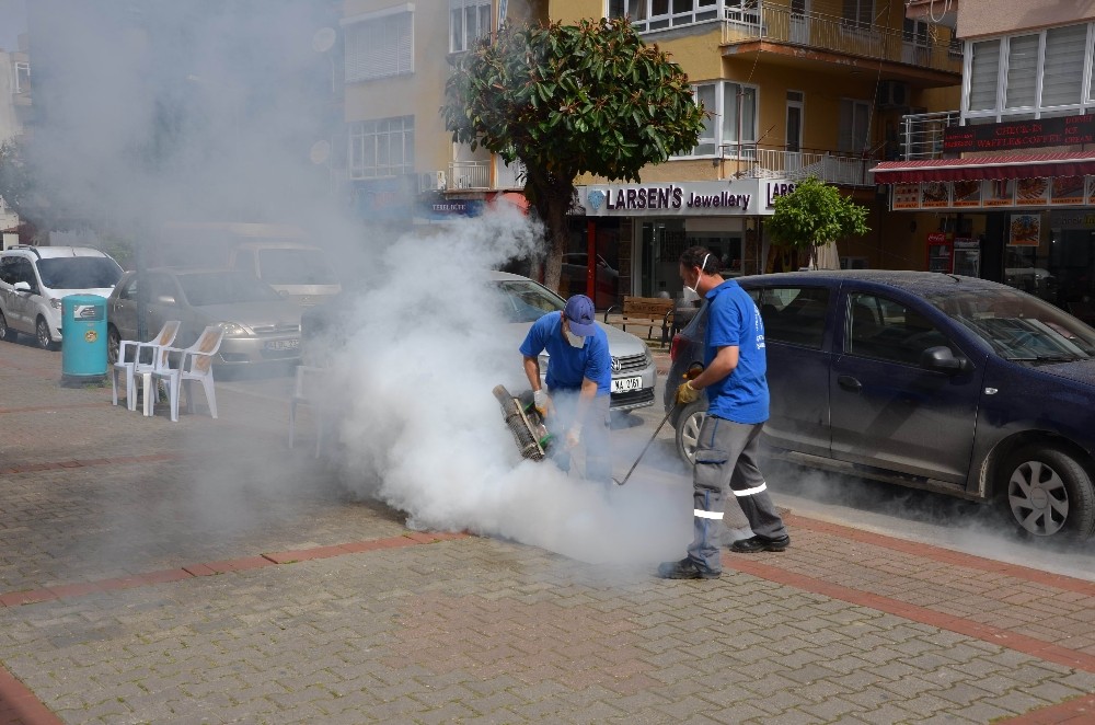 Büyükşehirden sinekle mücadele 