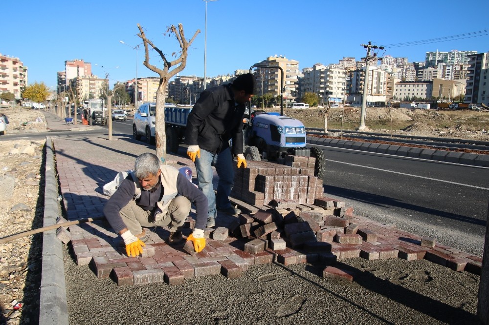 Büyükşehir’den çevre düzenleme çalışması 