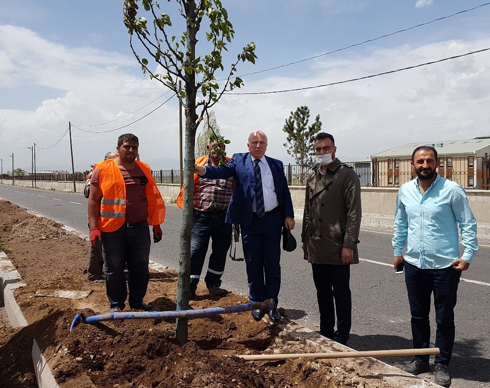 Büyükşehir’den Erzurum’a yemyeşil yatırım 