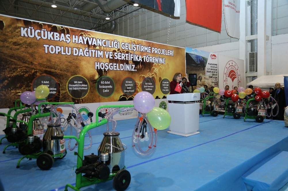 Büyükşehir’den üreticilere destek 