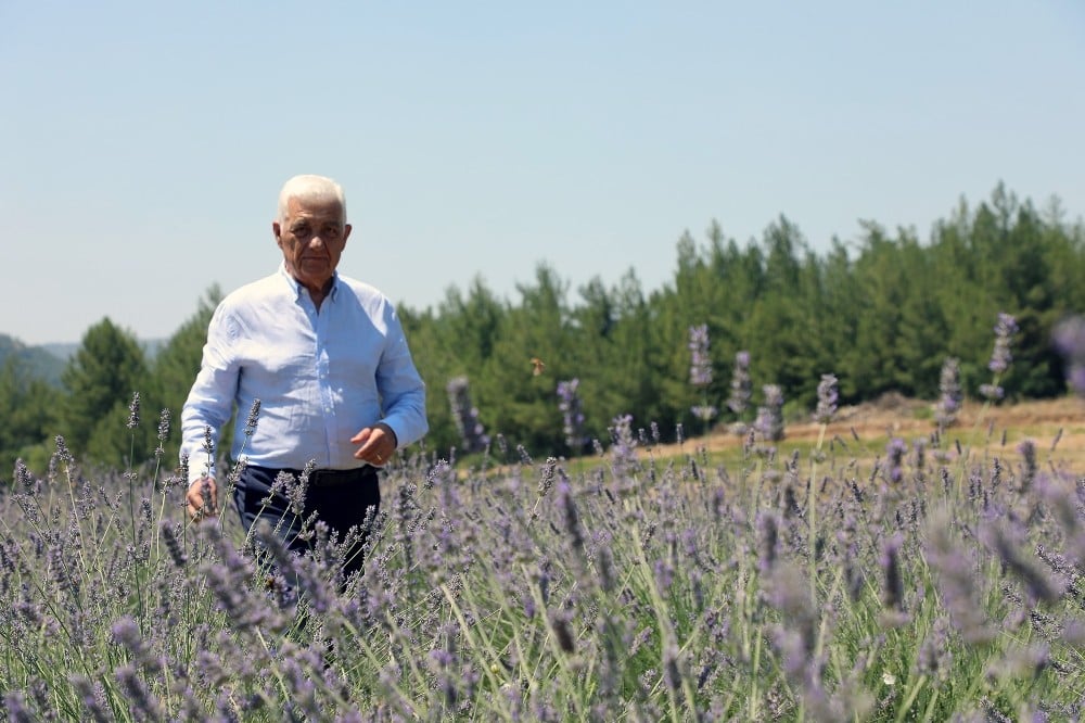 Büyükşehir’den üreticiye 32 bin 500 adet Aromatik bitki fidanı 