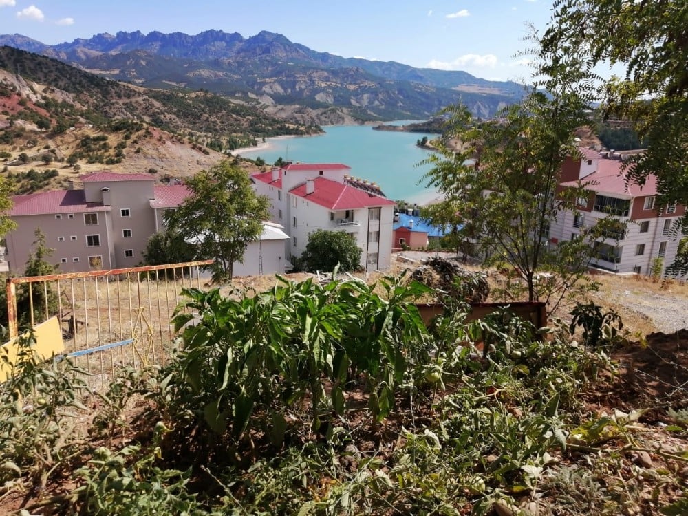 Büyükşehir’in Ata tohumları Tunceli’de yeşerdi 