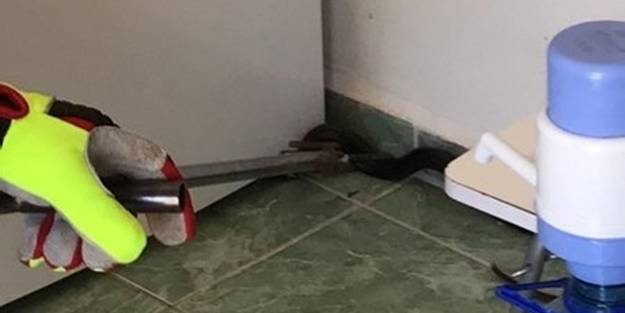 Buzdolabının altından 2 metrelik yılan çıktı