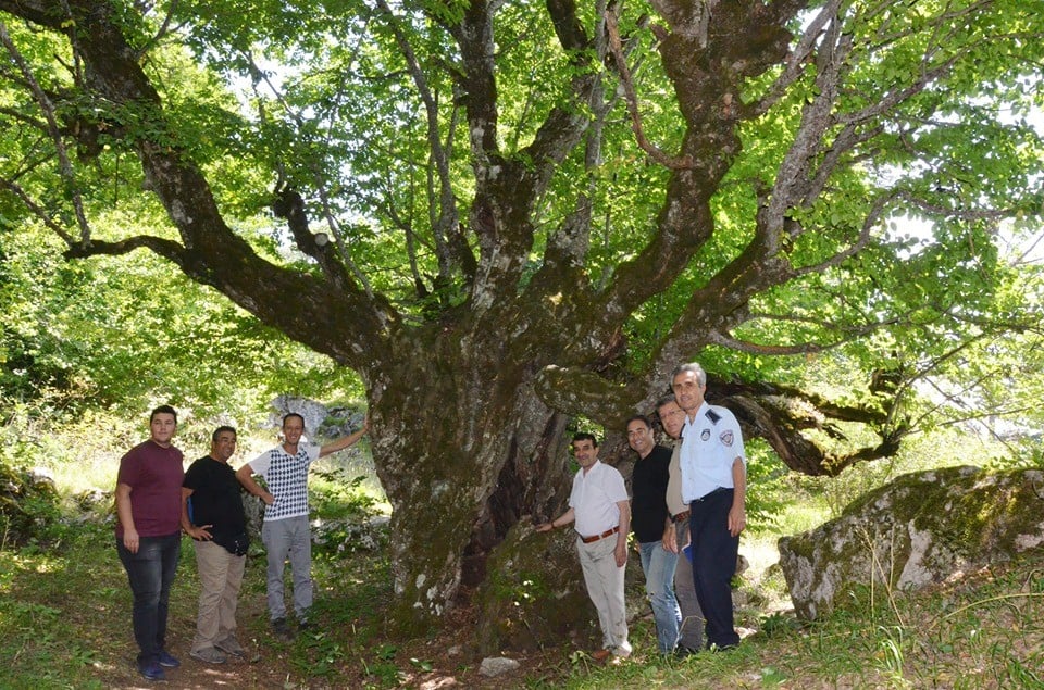 Buzluk Yaylası turizme kazandırılıyor 