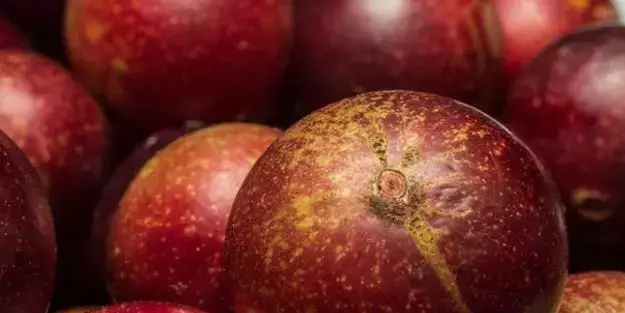 C vitamini içeriyor: Limondan 60 kat fazla, bedava vitamin!