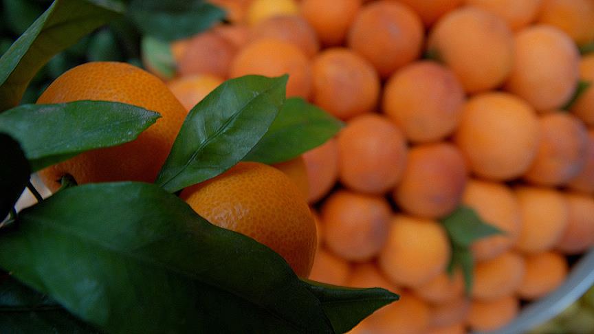 'C vitami ihtiyacını tabletlerden değil, gıdalardan alın'