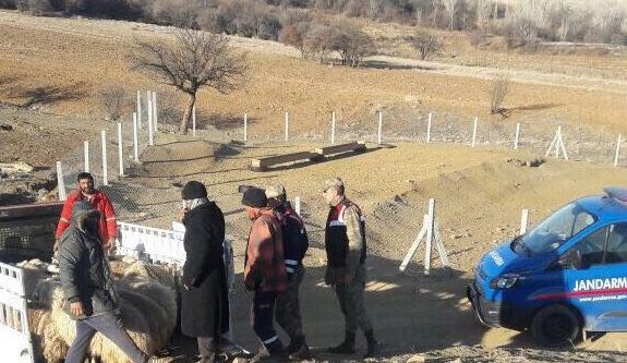 Koyun çalan hırsızlar yakayı ele verdi