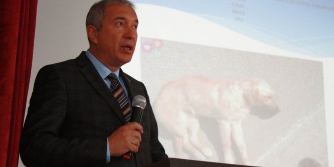 Tokat’ta hayvan kazaları için farkındalık semineri