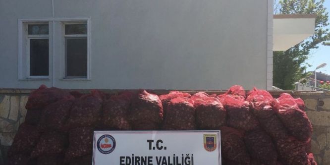 80 bin TL’lik kaçak midye ele geçirildi