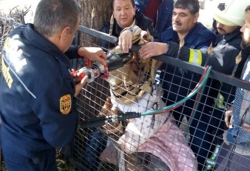 Balkondan korkuluğa düştü