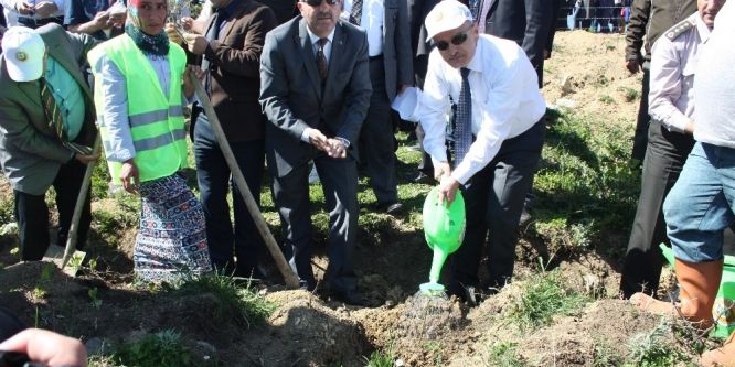 12 dekarlık arazide KYK ormanı oluşturuldu