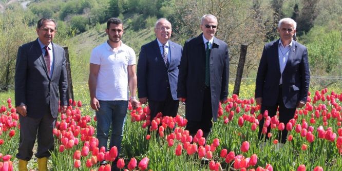 Bartın’da tarımsal üretime destekler sürüyor