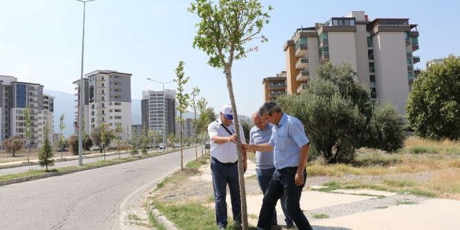 Güzelyurt’un çehresi değişiyor