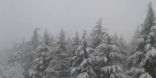 Kütahya’da kar sürprizi