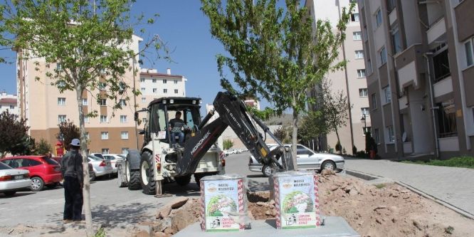 İncesu Belediyesi çevreci bir belediye olma yolunda hızla ilerliyor