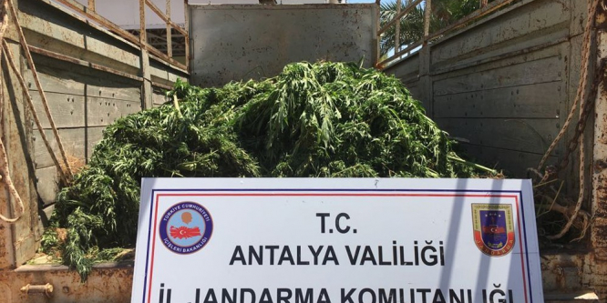 Antalya’da uyuşturucu operasyonu