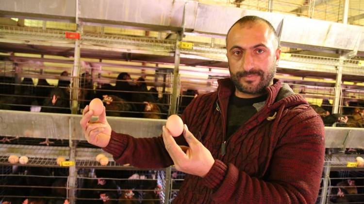 Çadırda üretiyor, Türkiye'ye satıyor!