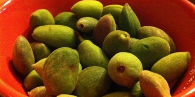 Çağlanın faydalarını biliyor musunuz?