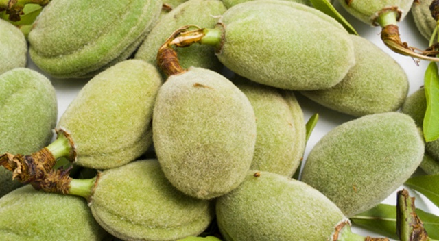 Çağlanın kilosu 60 liradan tezgahta