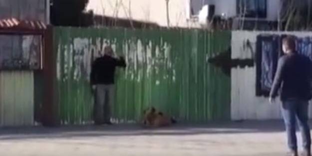 Çağlayan Adliyesi'nde intihar girişimi!