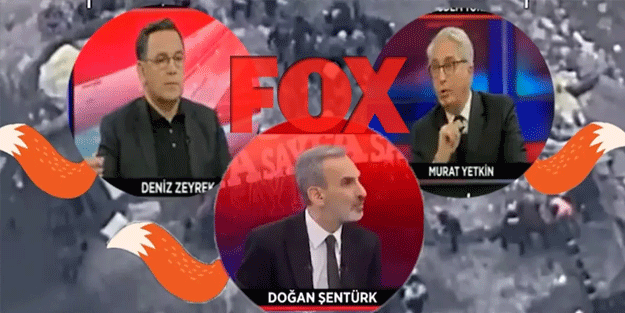 Cahil, yalancı ve sıvacı tilkiler...