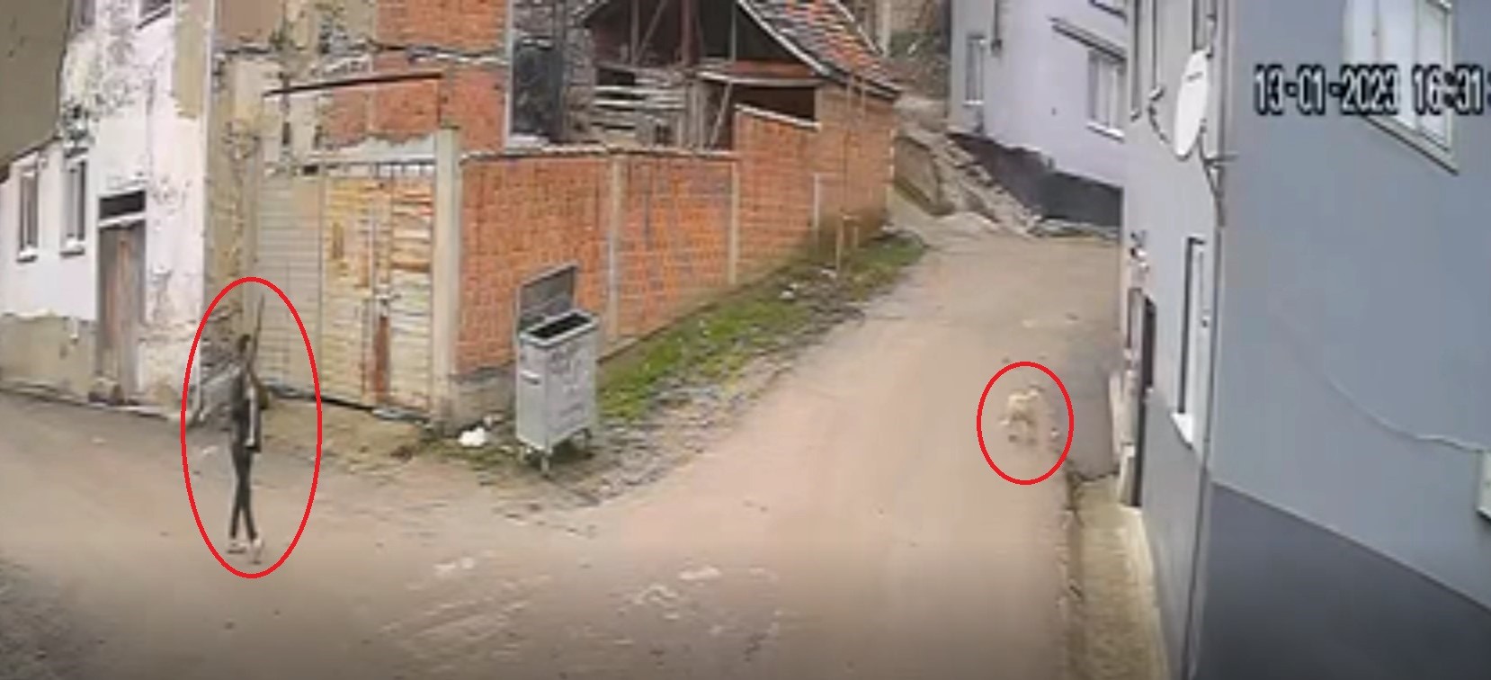 Çalamadığı köpeği pompalı tüfekle vurdu